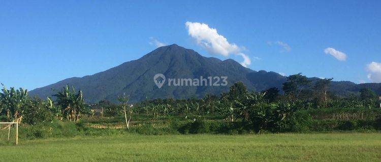 Dijual Kavling Vila Bogor Murah View Gunung Salak Keren  1