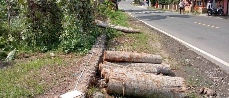 Kavling Pinggir Jalan Di Bojonggaling Pelabuhan Ratu 1