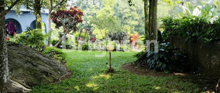 TANAH DI JL.TARUMANEGARA CIJERUK BOGOR ada Bangunan Villa 1