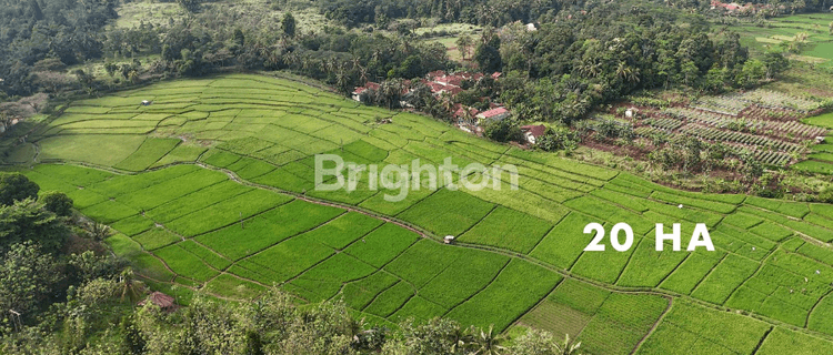 TANAH DI CIANJUR LUAS 27 HA, HANYA 3,3 KM ATAU 7 MENIT DARI TERMINAL PASIR HAYAM/PUSAT KOTA CIANJUR BOLEH BELI SEBAGIAN SAJA (PARSIAL, SESUAI KEBUTUHAN) 1