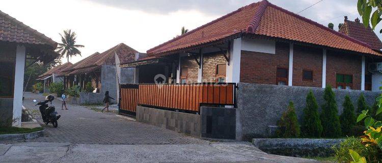 Rumah Asri di Barat Jogja Bonus Kolam Renang Dan Taman Pribadi 1