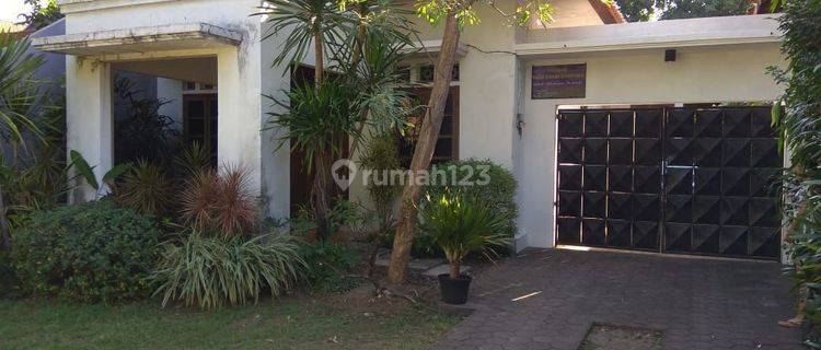 Rumah Besar dan Asri Tengah Kota Cocok untuk Usaha Nol Jalan Besar 1