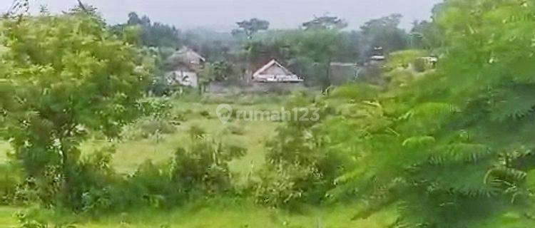 Lahan Luas 30 Ha.
Nol Jalan Nasional - Propinsi. SHM 1