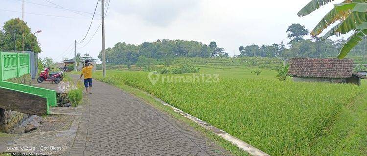 Tanah Prigen Dijual DPL 450 Nol Jalan Paving. 1