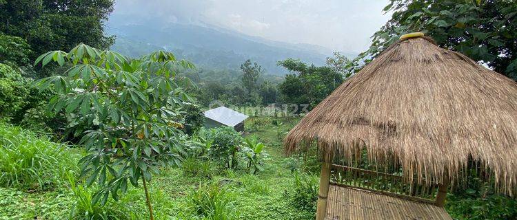 Lahan Perkebunan/ternak di Prigen, dekat Taman Safari II. 1