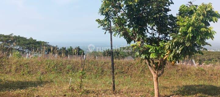 KAVLING BAGUS TAMAN DAYU PANDAAN PASURUAN VIEW GUNUNG 360  1