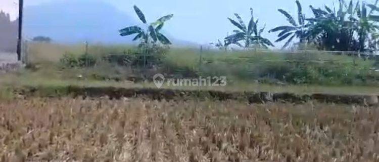 LAHAN 4 MENIT RAYA BYPASS PANDAAN 100M TOL PANDAAN ARAH SURABAYA 1