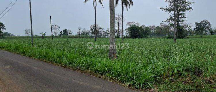 DIJUAL TANAH PAKIS MALANG. Nol Jalan. Berada di Zona Kuning. 1