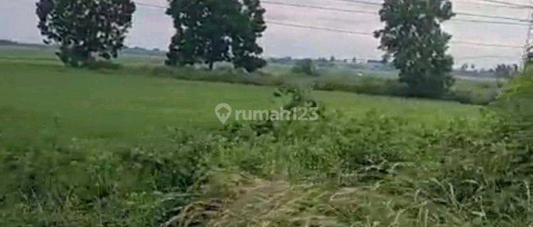Lahan Industri Gubernur Soebardjo Lingkar Selatan Kalimantan 1