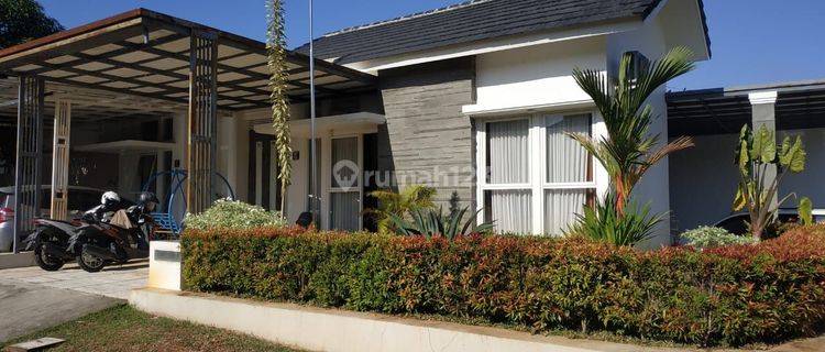 Rumah Hook 179 M² Di Forest Hill Citraland Bsb City Semarang 1