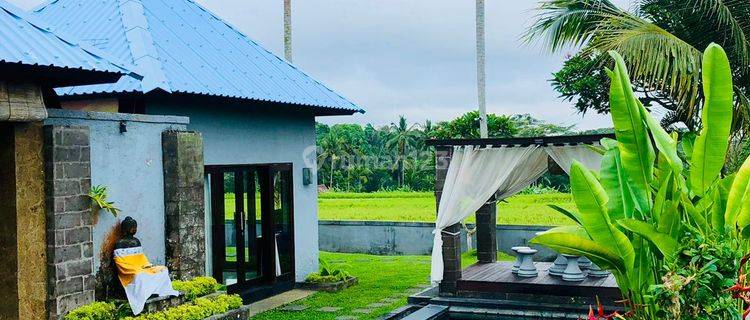 Hot List Di Jual Villa Lokasi Taro Tegallalang Ubud Gianyar 1