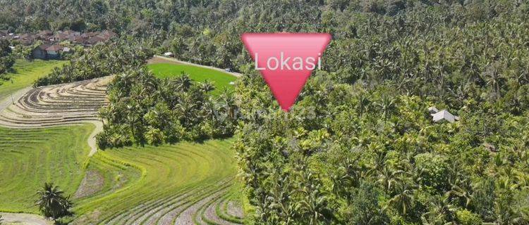 Hot List Di Jual Tanah View Laut Lokasi Lumbung Selemadeg Barat Tabanan 1