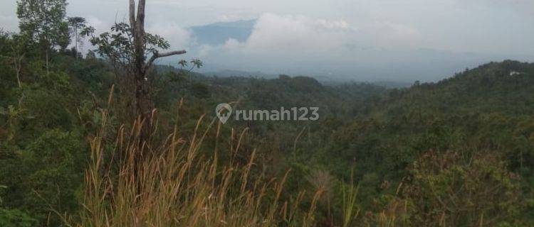 Hot List Di Jual Tanah Lokasi Munduk Gesing Banjar Buleleng 1