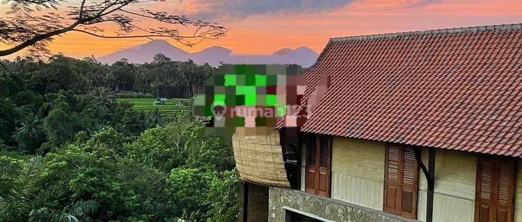 Hot List Di Jual Villa Lokasi Sayan Ubud Gianyar 1