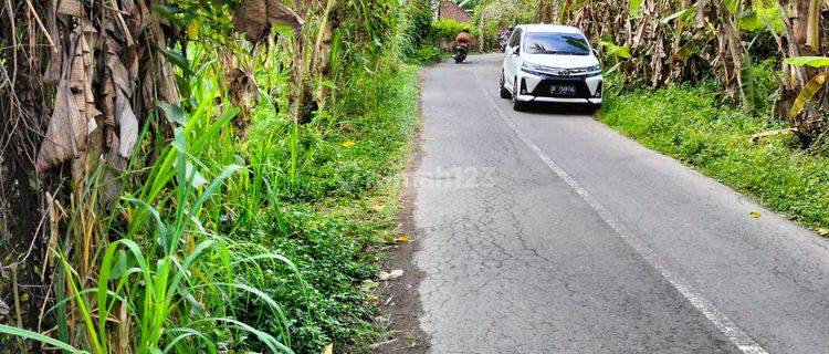 Hot List Di Jual Tanah Loss Sungai View Hutan Tegallalang Ubud Gianyar 1