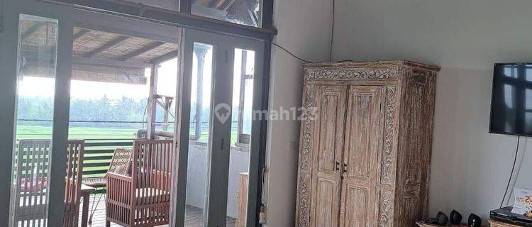 Hot List of Villas for Sale in Buwit Kediri, Tabanan  1