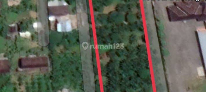 Hot List of Land for Sale on the Main Road, Patas Gerokgak Buleleng Location 1