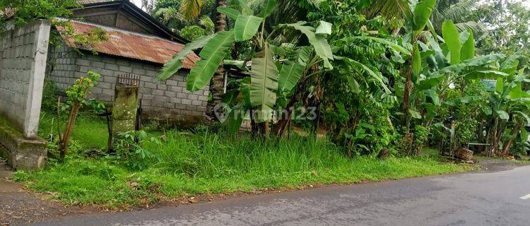 Hot List Di Jual Tanah Lokasi Sibang Gede Abiansemal Badung 1