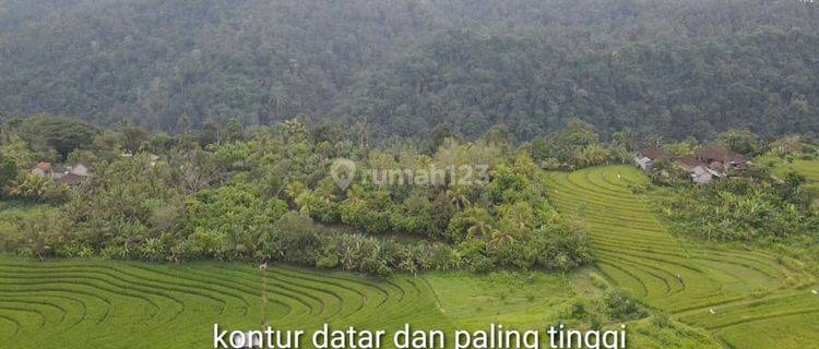 Hot List Di Jual Tanah View Laut Lokasi Lumbung Tabanan 1