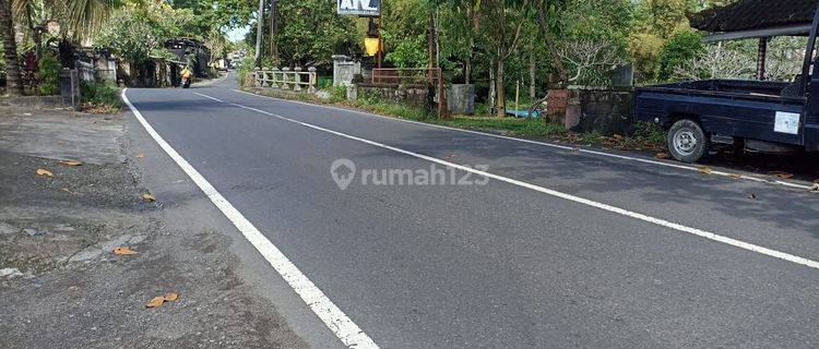 TOP URGENT FOR SALE LAND ON THE SIDE OF THE MAIN ROAD SINGAPADU SUKAWATI GIANYAR 1