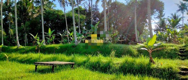 TOP URGENT DI JUAL TANAH LOKASI DALUNG ABIANSEMAL BADUNG 1