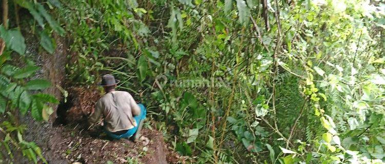 Pasti Closing Di Sewakan Tanah Loss Sungai Wos Lokasi Singapadu Kaler Sukawati Gianyar 1