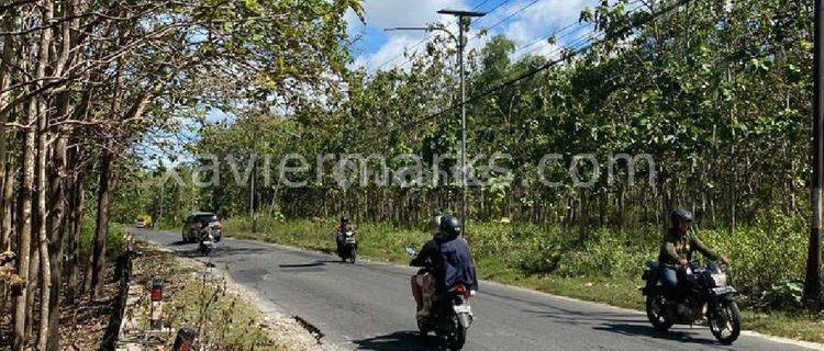 Tanah pinggir jalan utama murah 1