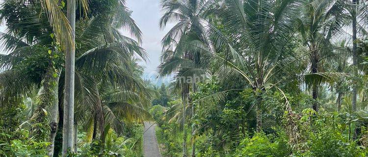 Tanah View Ocean Dan Valley di Jembrana Bali 1