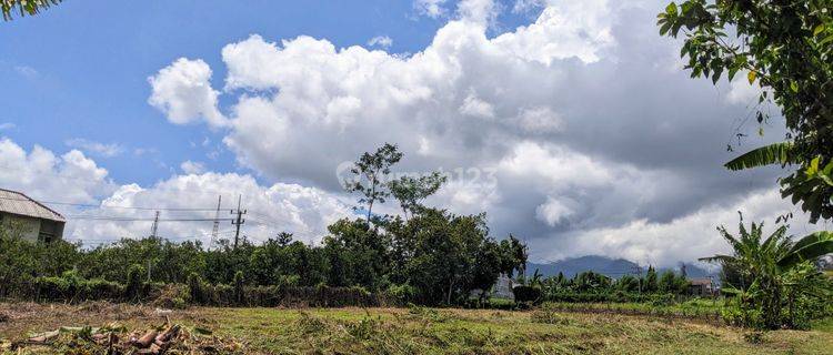 Dekat Wisata Alam Kampus, Tanah View Pegunungan Harga Murah 1