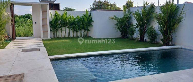 For rent villa Canggu area new gress rice paddy view full furnished Bali  1