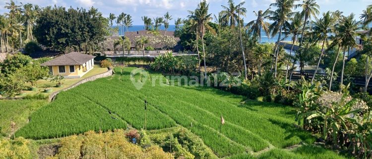 Modern tropical villa for sale with rice paddy & ocean view near Canggu Bali 1