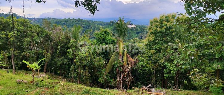 Tanah 41 m2 SHM Singaraja, Buleleng 1
