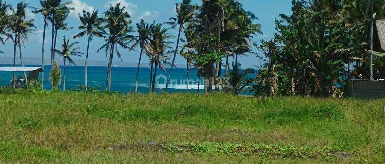 Land for sale directly Seseh Beach near Nyanyi Beach Canggu Bali 1