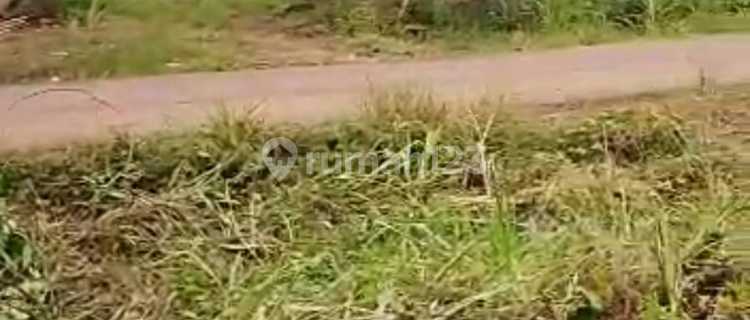 Dijual Tanah di banyuasin 1