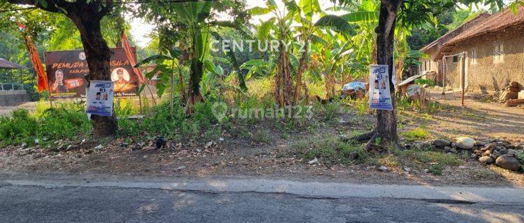 Tanah Pinggir Jalan Di Desa Cempaka Talun Cirebon  1