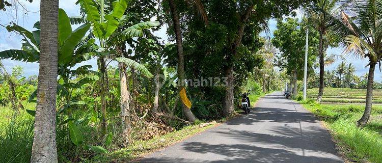 Tanah Beach Side di Area Pangkung Tibah Dekat Potatto Head Villa 1