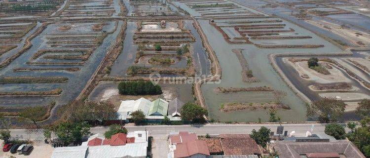 Dijual tanah di sawah luhur banten 1