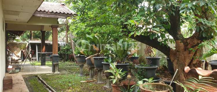 Quick Sale Strategic House in Harja Mukti Cibubur 1