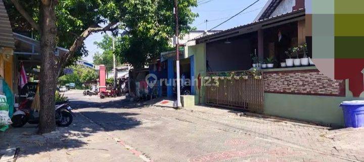 Rumah Di Pamularsih Semarang Barat Bonus Usaha Kost 1