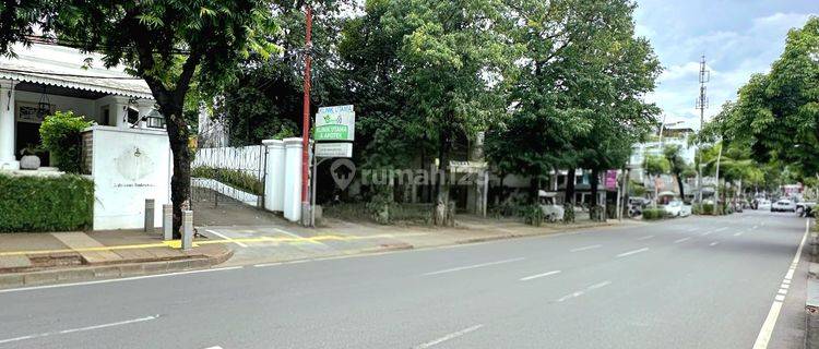 Disewakan Ruang Usaha Bagus Asri Di Kemang Jakarta Selatan 1