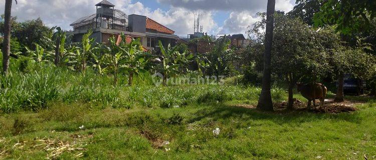 Land Plots for Rent in Bandara Yt 1