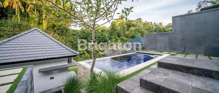 Villa Luas Dengan Pool Bongan Tabanan Dekat Canggu  1