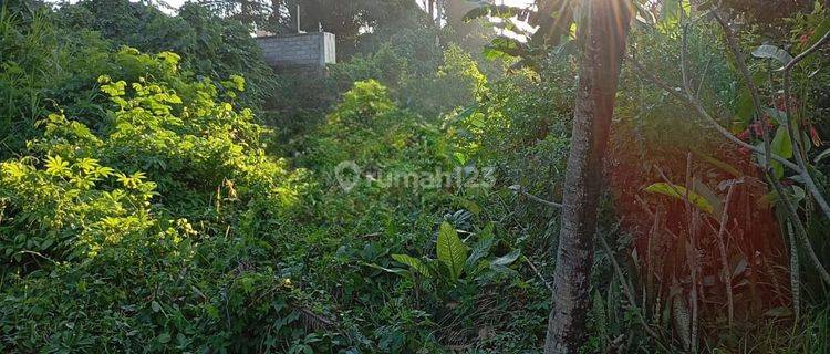 Di Jual Tanah 1000m2 Pinggir Jalan Sibangkaja Badung Bali 1