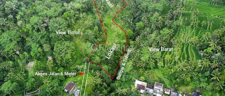 Tanah Luas Strategis View Cantik di Ubud Tegal Lalang Bali 1