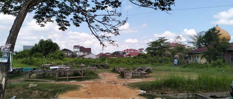 Tanah Kosong Tengah Kota Dijual di Jl. Todak Pekanbaru 1