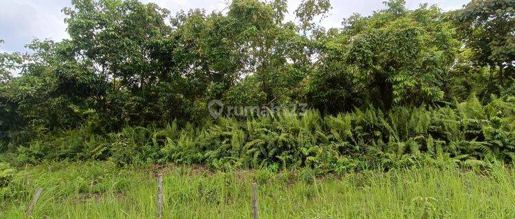 Tanah Kosong Tengah Kota Dijual di Jl. Gulama Pekanbaru 1