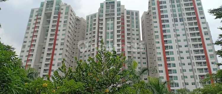 Apartemen Mewah Penthouse 1