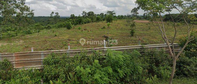 Tanah Strategis Berada Dijalan Utama Dan Dekat Pusat Pemerintahan 1