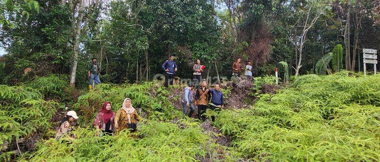 Tanah Kosong di Jalan Pesona Bukit Sintuk Dekat Area Perusahaan 1