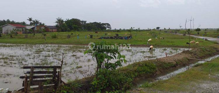 Tanah Super Murah di Bekasi Sukaringin 40 Ha Bisa Pecah 1